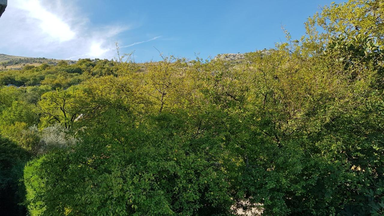 Rooms Lake View Balani Restaurant Σκόδρα Εξωτερικό φωτογραφία