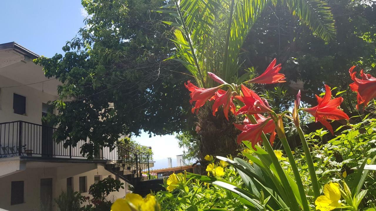 Rooms Lake View Balani Restaurant Σκόδρα Εξωτερικό φωτογραφία